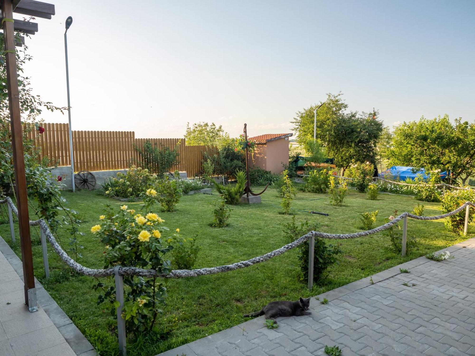Laguna Nuferilor Habitat Somova Exterior photo